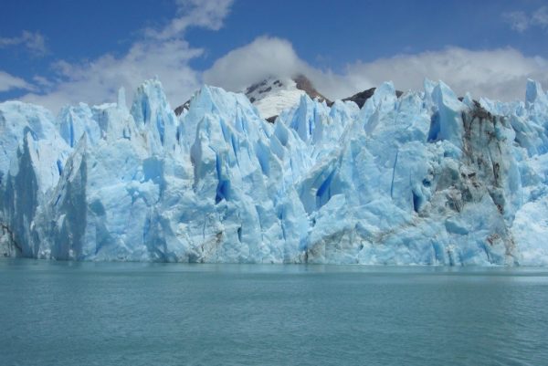 Retroceso de glaciares golpea a la fauna en Península Antártica por cambio climático