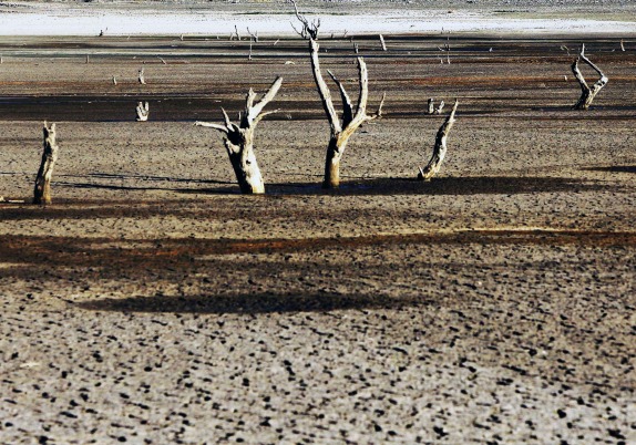 COP22: Reflexionan sobre sequía en evento paralelo