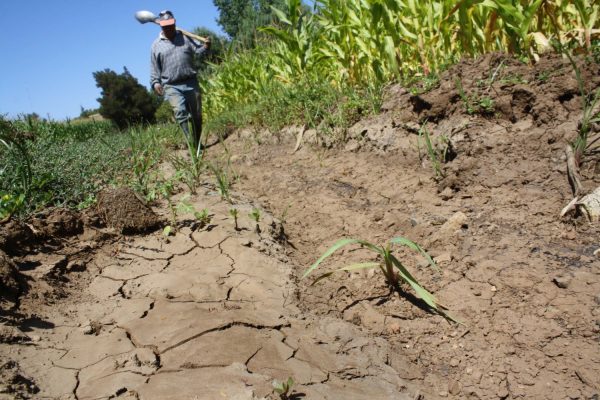 En marcha Agencia de Sustentabilidad y Cambio Climático en el Maule