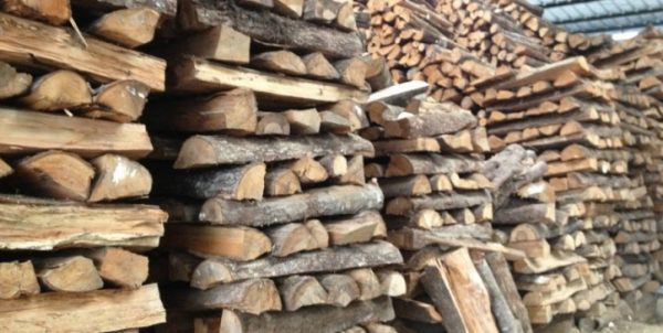 Esperan implementar cuanto antes el Plan de Invierno y prohibir el uso de leña en Santiago