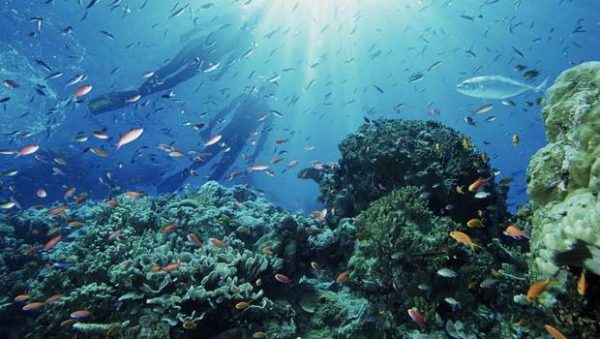 En Conferencia sobre los Océanos: Llaman a tomar acciones inmediatas para combatir el cambio climático