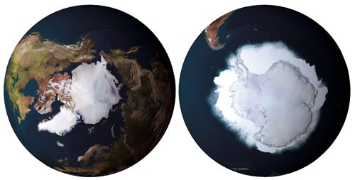 Algunas curiosas diferencias entre el Ártico y la Antártida