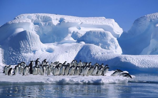 Quedan tres a&ntilde;os para cumplir metas sobre cambio clim&aacute;tico