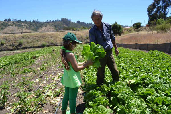 Gobierno lanza proyecto para la resiliencia agrícola al cambio climático