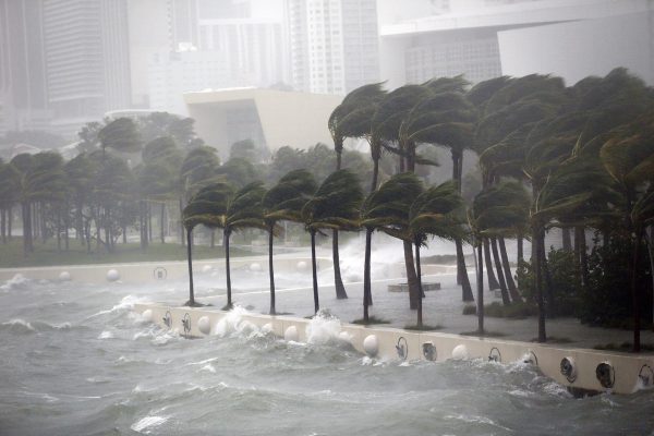 Calentamiento global vuelve a preocupar tras el catastrófico paso de Irma