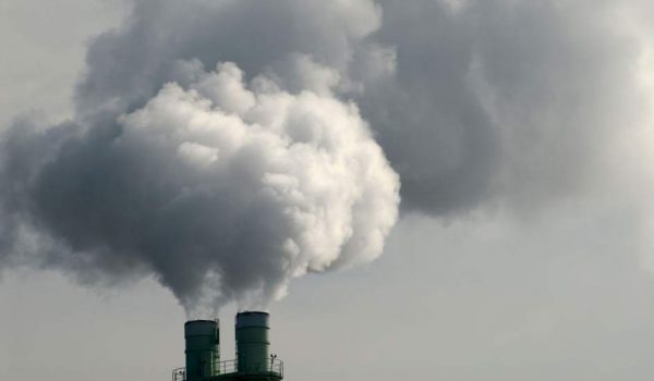 Con el cambio climático, la biósfera terrestre atrapará menos CO2