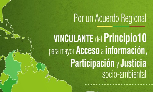 Campaña por un Principio 10 vinculante