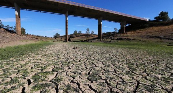 Portugal: tras oleada de incendios, la sequía amenaza