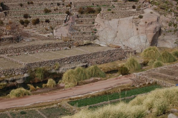 En siglos pasados: Los agricultores del altiplano ya generaban resiliencia al cambio climático