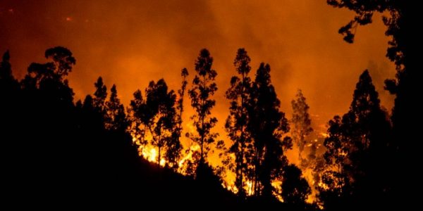 Los efectos del cambio climático en los incendios forestales chilenos