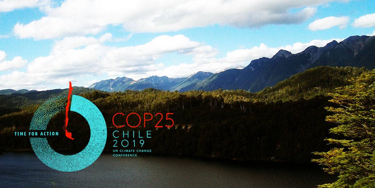 cop-25-terram