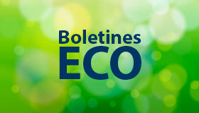 Boletín ECO 18 de Noviembre de 2016